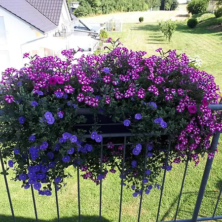 דירה Burgenmeister *